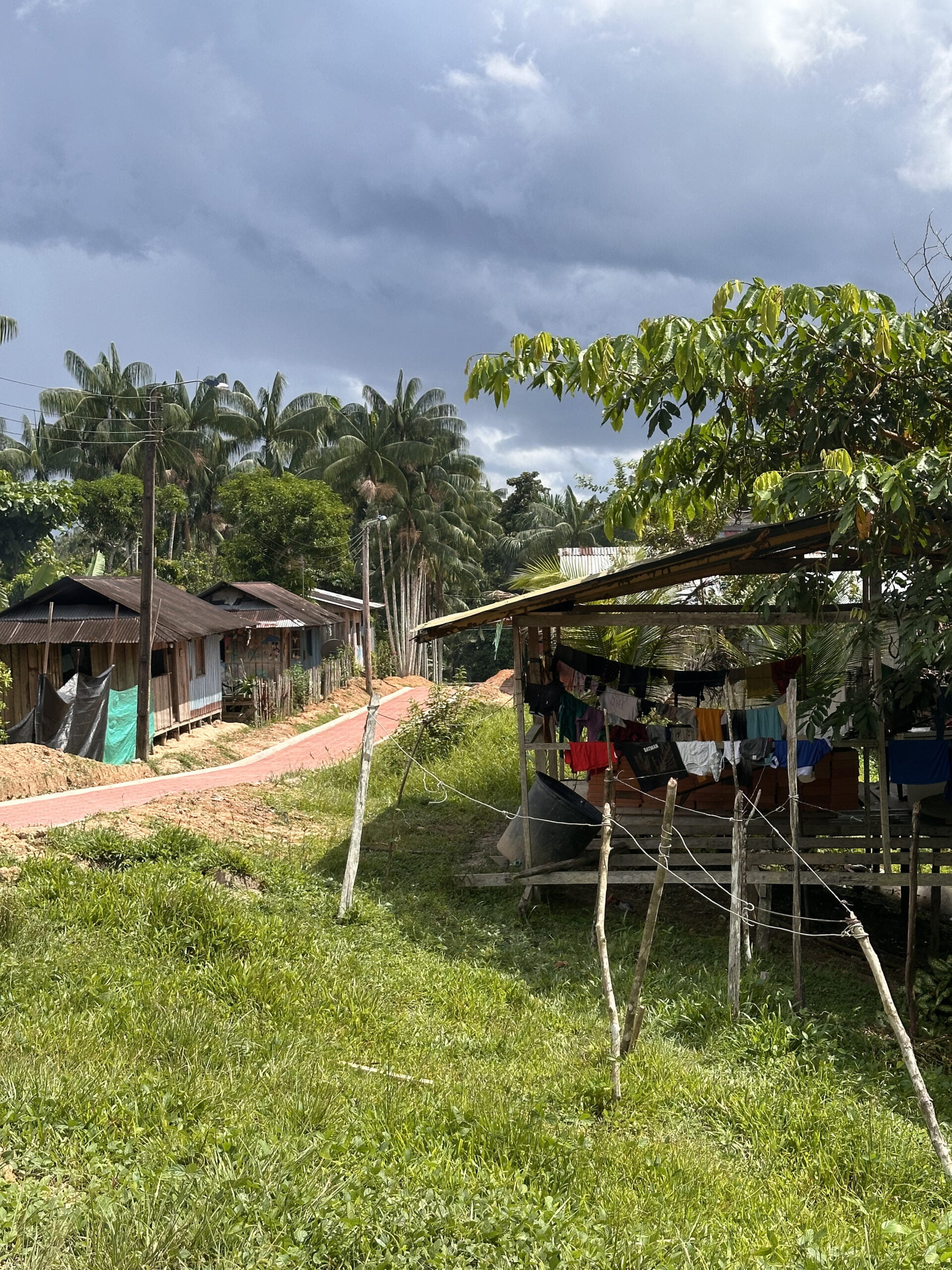 Tour selva amazónica
