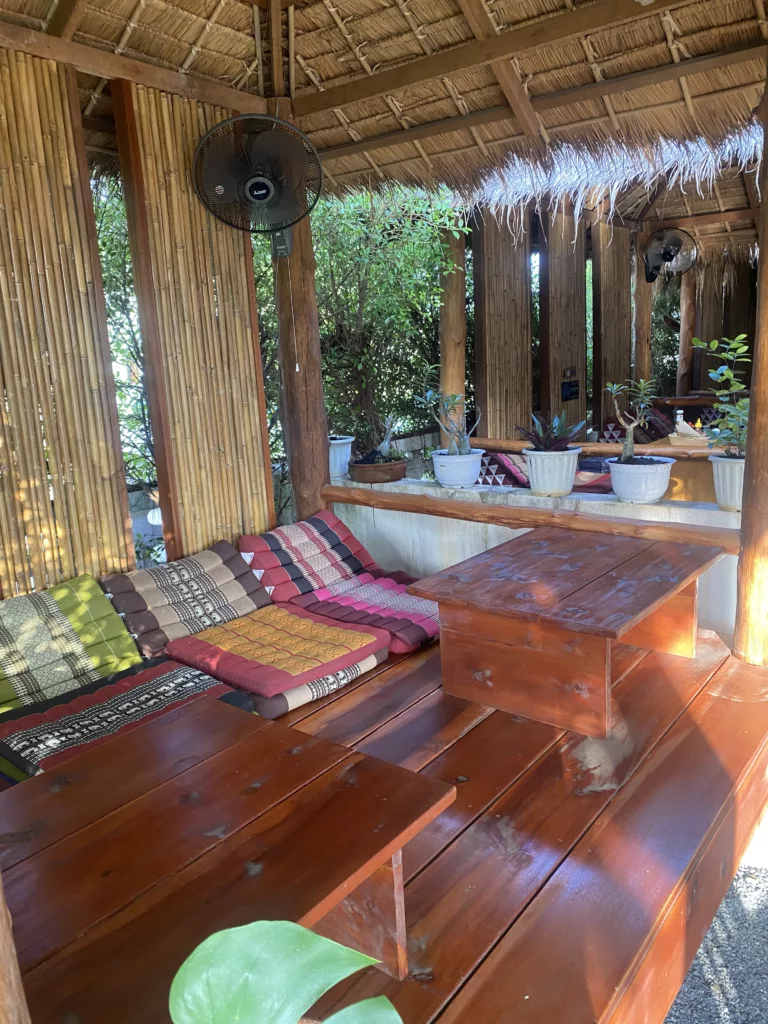 Día 3: Santuario de Elefantes en Koh Samui