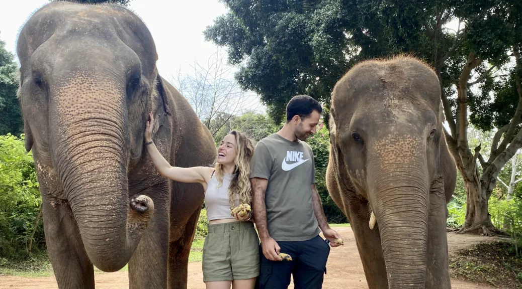 Día 3: Santuario de Elefantes en Koh Samui