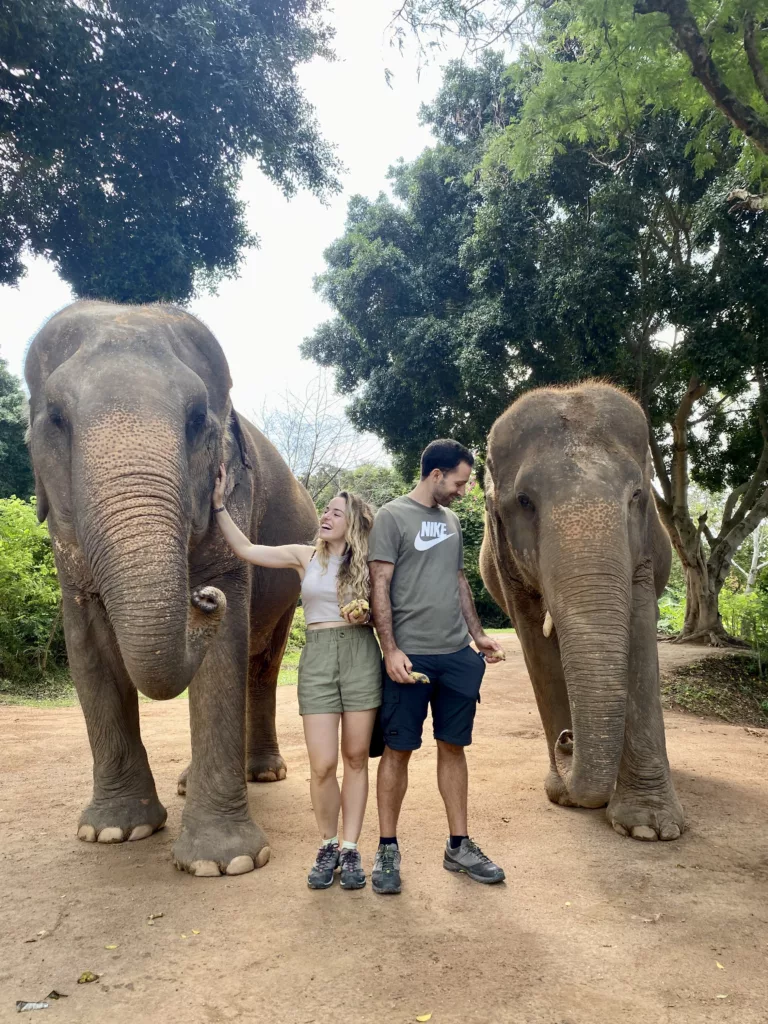 Día 3: Santuario de Elefantes en Koh Samui