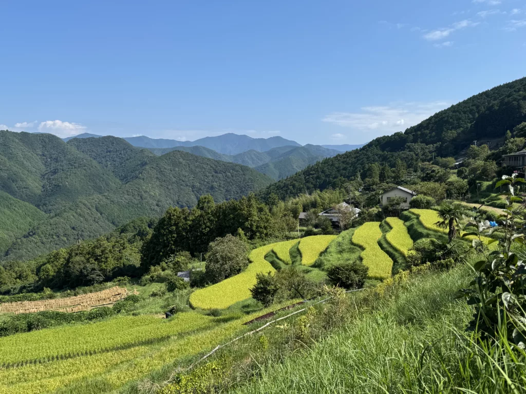 Kumano Kodo