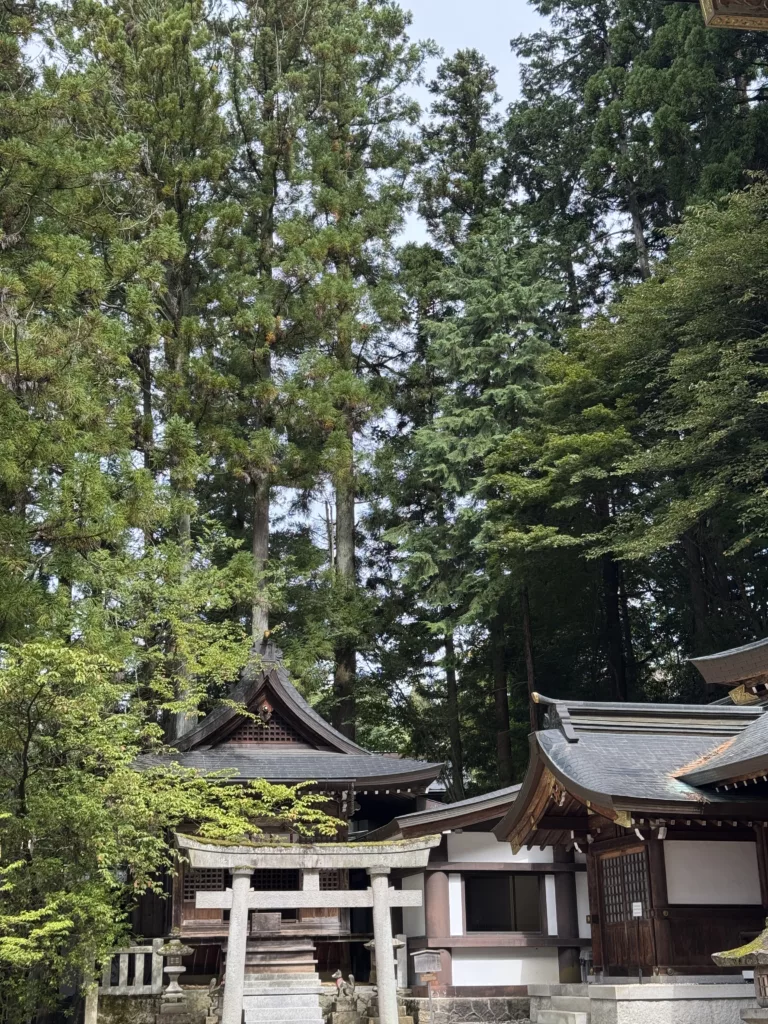 Takayama