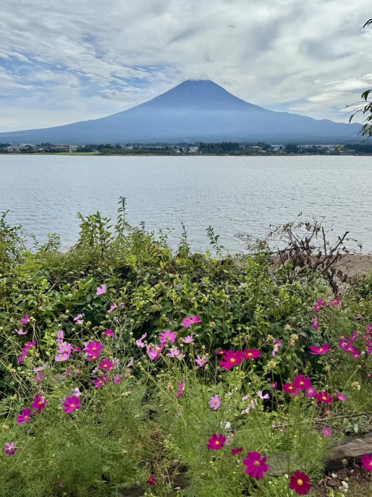 Monte FUji